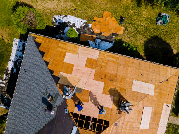 Best Local Roofing Companies  in Grabill, IN