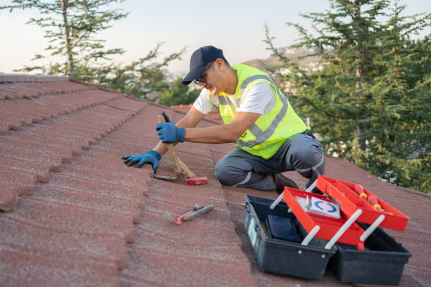Best Roof Maintenance Services  in Grabill, IN